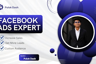 oversee the facebook and instagram ads campaign