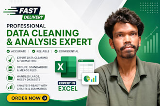 clean, format, analyze and organize excel data