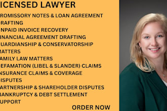 write family law documents, divorce, child custody, petition, motion and drafts