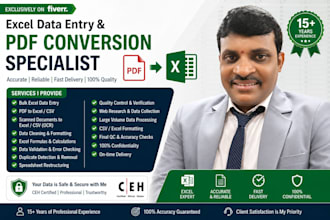 excel data entry PDF conversion specialist