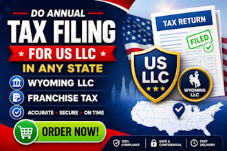 do annual tax filling for US llc in any state, wyoming llc, franchise tax return