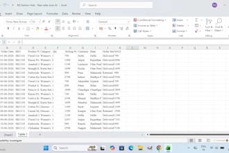 data entry, ms excel, ms word, and googlesheet