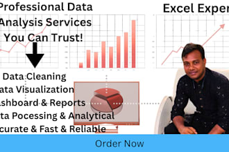 do data analysis and data visualization
