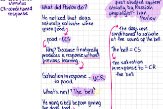 create cute study notes for you