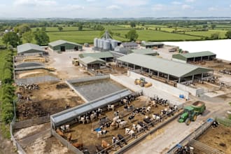 create realistic 3d poultry farm, chicken house and livestock facility design
