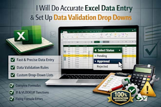 do accurate excel data entry and setup data validation drop downs
