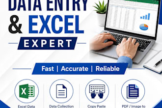 do fast data entry, excel work, and pdf to excel conversion