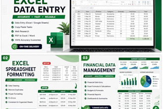do excel data entry spreadsheet formatting and financial data management