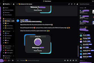 setup a customised discord server