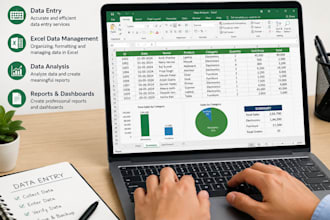 data entry and excel