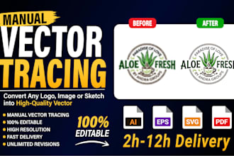 convert low res logo or image to high resolution vector