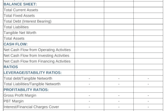 prepare credit and financial analysis and loan assessment