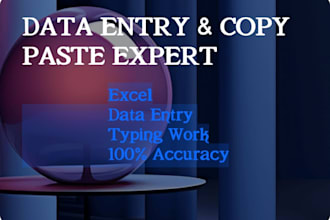 do professional data entry and excel copy paste work