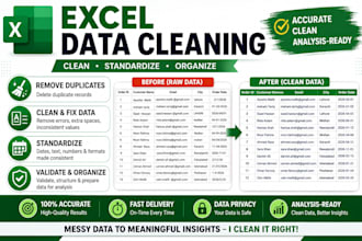 professionally clean, format and fix errors in your excel data
