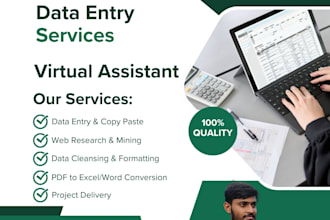 be a personal assistant for data entry, mining, copy paste