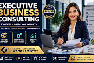 provide executive business consulting and operational strategy