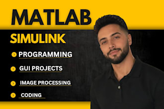 do matlab simulink and matlab programming , matlab task for you