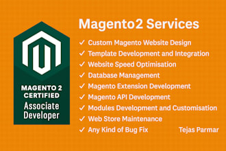 do magento 2 development and customization