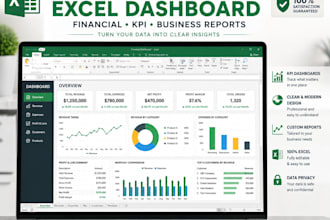 create a professional excel financial dashboard and report