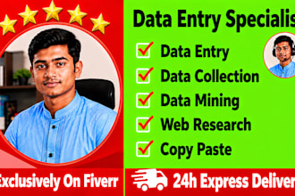 provide professional data entry web research and data scraping