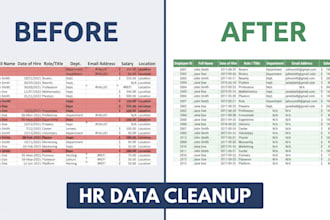 do accurate HR data entry and employee file organization