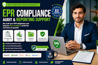 provide epr compliance audit and reporting support