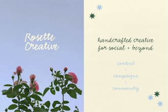 social media strategy and content plan creation