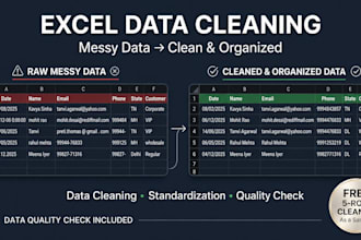 clean, organize, format and standardize your excel data