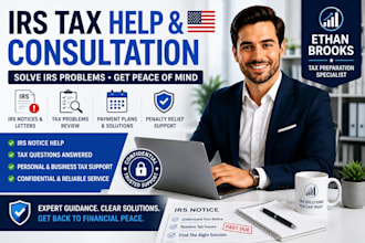 provide US irs tax help, tax consultation and notice support