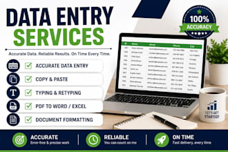 do accurate data entry typing and copy paste tasks