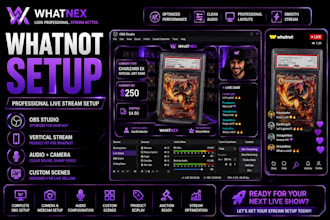 setup a professional whatnot live stream with obs studio