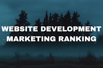 provide website landing page development marketing design promotion