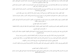 do professional proofreading and egyptian arabic ai training