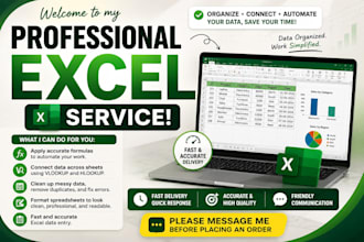 do professional excel data entry, formulas, and vlookup