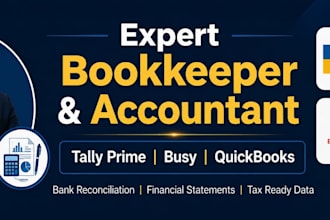 do bookkeeping, tally prime, busy, quickbooks and excel data entry