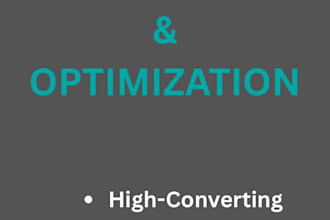 do a professional tiktok audit and optimize your business bio