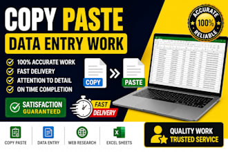 do accurate data entry, copy paste and typing work