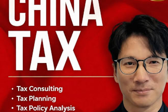 offer professional china tax planning and  tax consulting