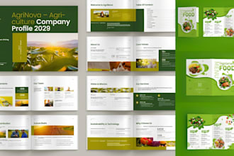 design professional canva bifold tifold brochure for your brand