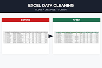 clean, organize and format your excel data professionally