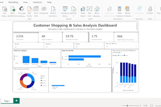 create a professional power bi customer analysis dashboard