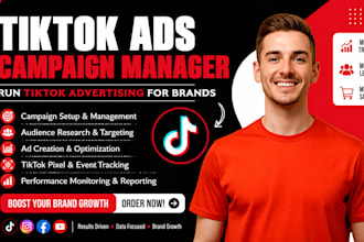 be your tiktok ads campaign manager to run tiktok advertising for brands