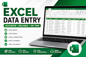 do excel data entry, formatting and spreadsheet cleanup
