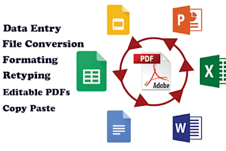 do excel data entry, copy paste and website data entry tasks