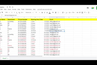help you with professional microsoft excel data entry