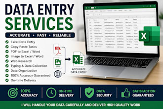 do accurate data entry and excel data entry