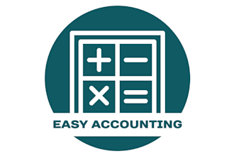 do professional bookkeeping and financial accounting in tally or excel