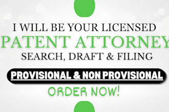 search, draft, draw, and file your patent application as your patent attorney