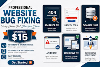 fix website bugs errors and functionality issues
