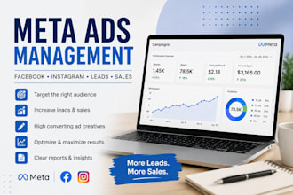 create, set up, and manage meta, facebook, and instagram ad campaigns